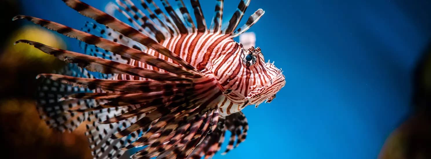 Rhodes Animal & Sea Experience photo 1