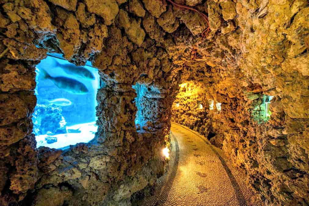 Rhodes Animal & Sea Experience