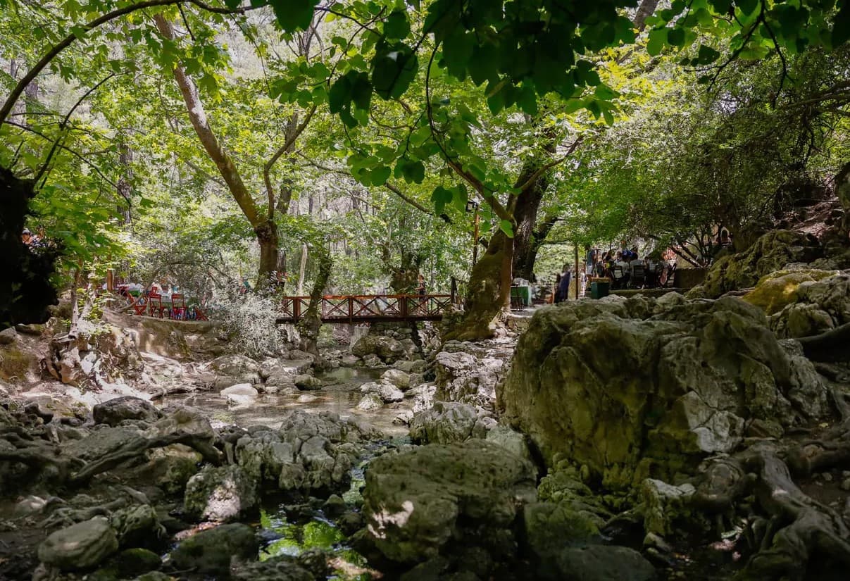 Nature & Panoramic Rhodes Escape photo 7